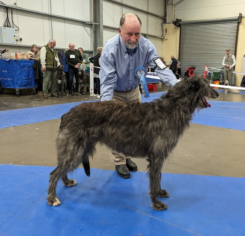 CC Winners Scottish Breeds 2011